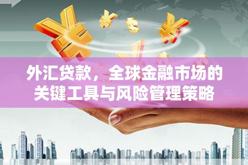 廉江外汇贷款，全球金融市场的关键工具与风险管理策略