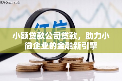 廉江小额贷款公司贷款，助力小微企业的金融新引擎