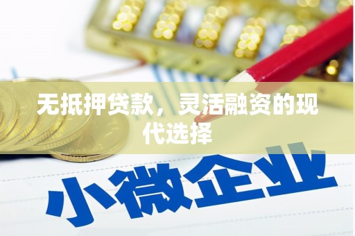 廉江无抵押贷款，灵活融资的现代选择