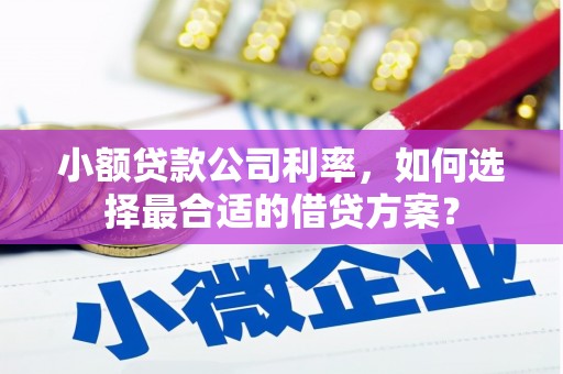 廉江小额贷款公司利率，如何选择最合适的借贷方案？