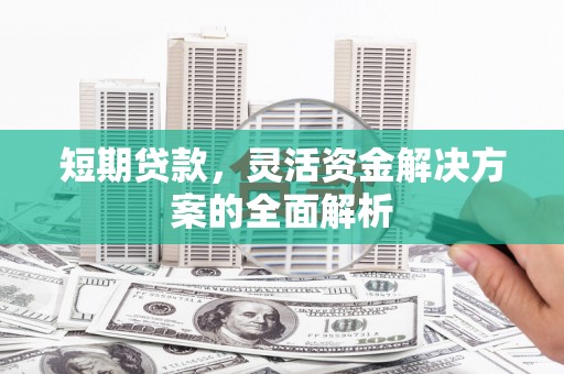 廉江短期贷款，灵活资金解决方案的全面解析