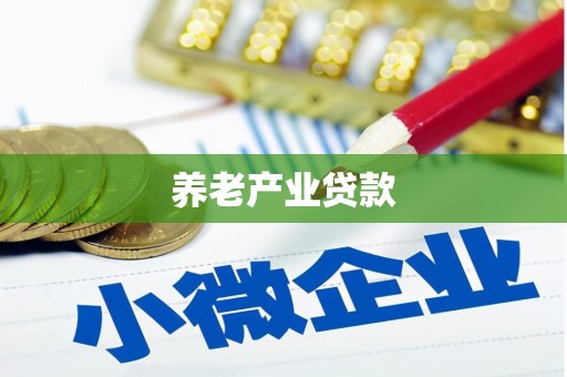 廉江养老产业贷款