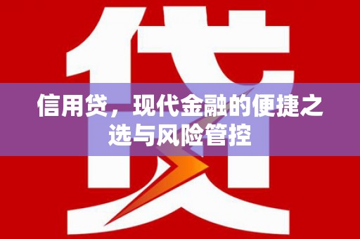 廉江信用贷，现代金融的便捷之选与风险管控