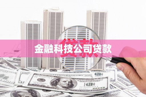 廉江金融科技公司贷款