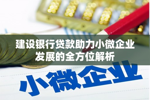 廉江建设银行贷款助力小微企业发展的全方位解析