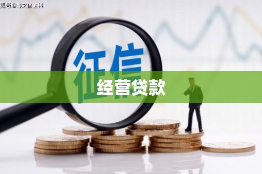 廉江经营贷款