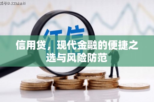 廉江信用贷，现代金融的便捷之选与风险防范