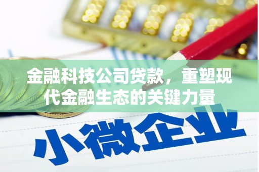 廉江金融科技公司贷款，重塑现代金融生态的关键力量