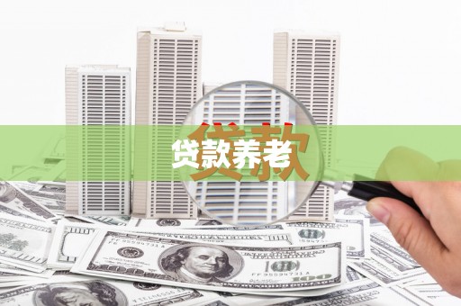 廉江贷款养老