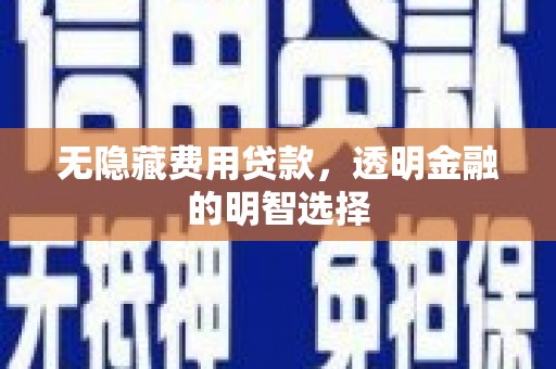 廉江无隐藏费用贷款，透明金融的明智选择