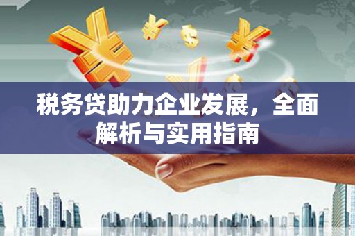廉江税务贷助力企业发展，全面解析与实用指南