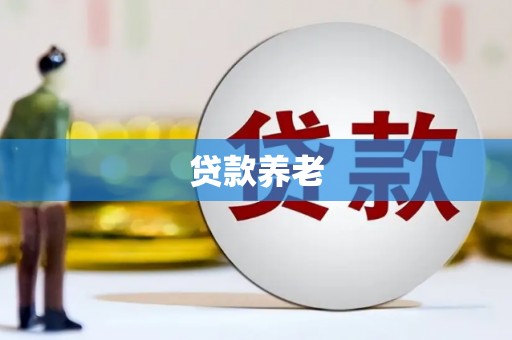 廉江贷款养老