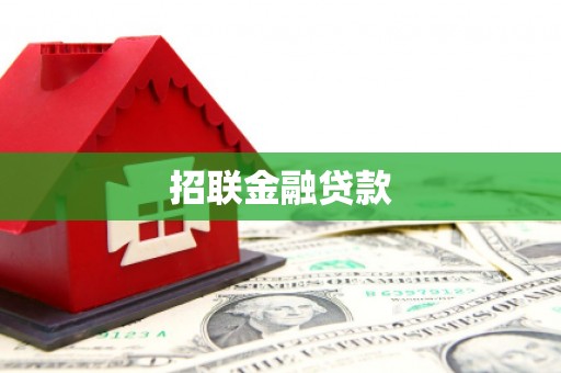 廉江招联金融贷款