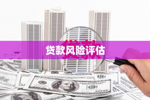 廉江贷款风险评估
