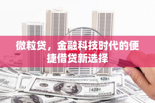 廉江微粒贷，金融科技时代的便捷借贷新选择