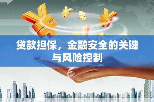 廉江贷款担保，金融安全的关键与风险控制