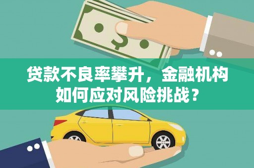 廉江贷款不良率攀升，金融机构如何应对风险挑战？
