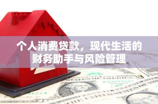 廉江个人消费贷款，现代生活的财务助手与风险管理