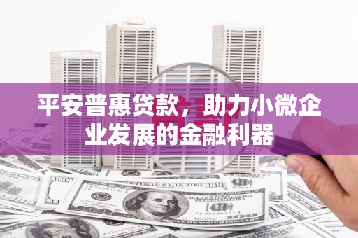 廉江平安普惠贷款，助力小微企业发展的金融利器