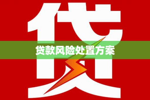 廉江贷款风险处置方案