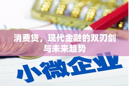 廉江消费贷，现代金融的双刃剑与未来趋势