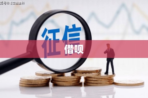 廉江借呗