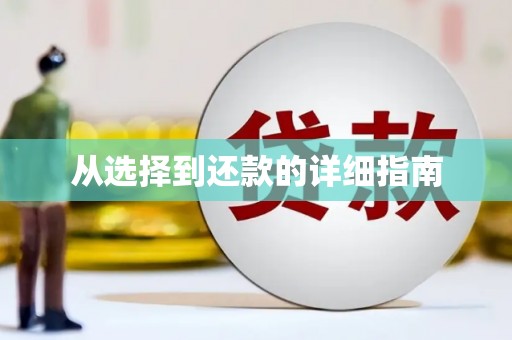 廉江从选择到还款的详细指南