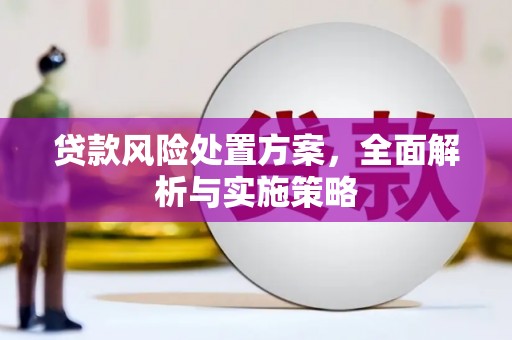 廉江贷款风险处置方案，全面解析与实施策略