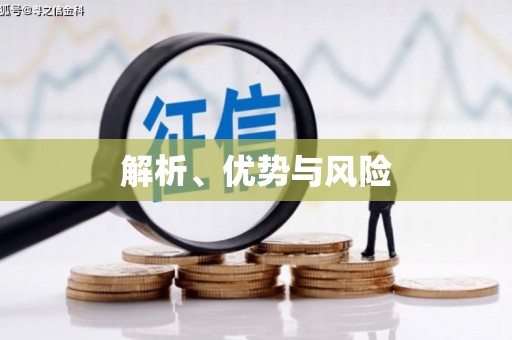 廉江解析、优势与风险