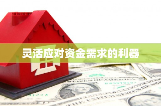 廉江灵活应对资金需求的利器