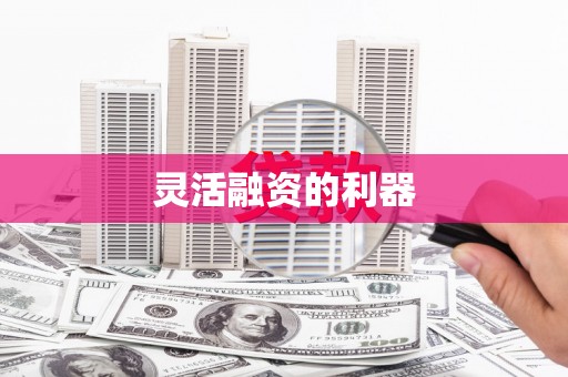 廉江灵活融资的利器