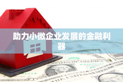廉江助力小微企业发展的金融利器