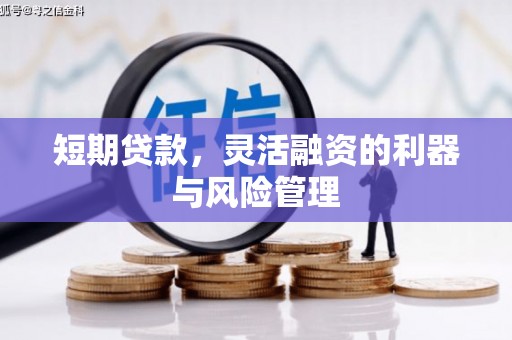 廉江短期贷款，灵活融资的利器与风险管理
