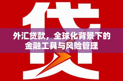 廉江外汇贷款，全球化背景下的金融工具与风险管理