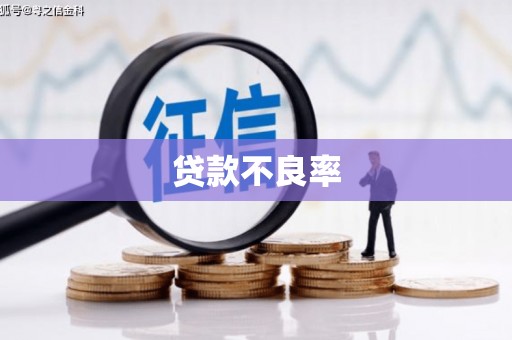 廉江贷款不良率