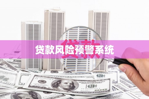 廉江贷款风险预警系统
