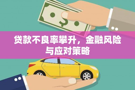 廉江贷款不良率攀升，金融风险与应对策略